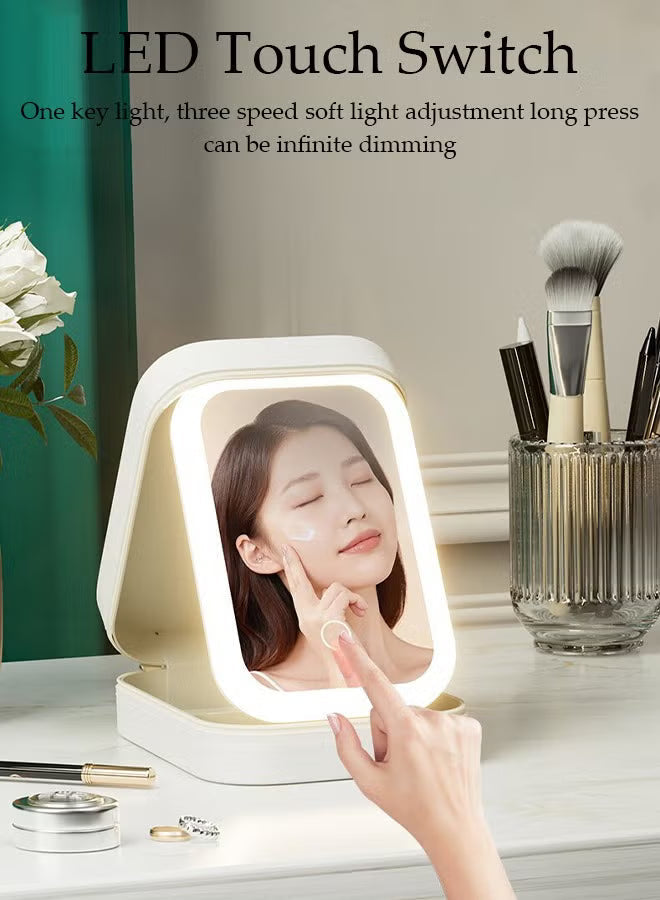 Makeup Storage Box With LED